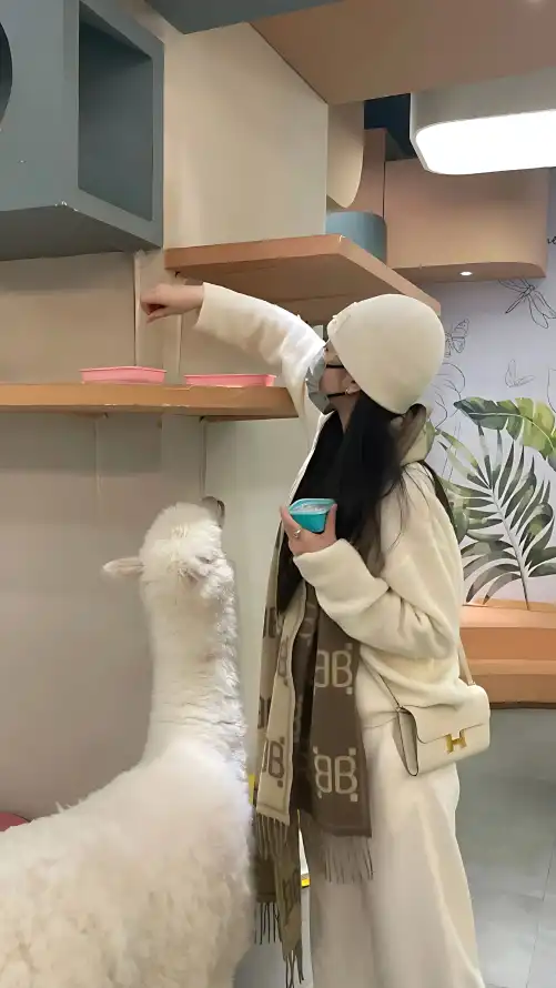 久久综合伊人77777_bt天堂在线www_每天更新的免费Av片在线观看